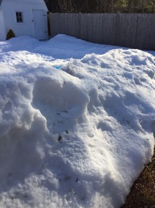 snowbank March 2015