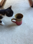 Pippi and coffee